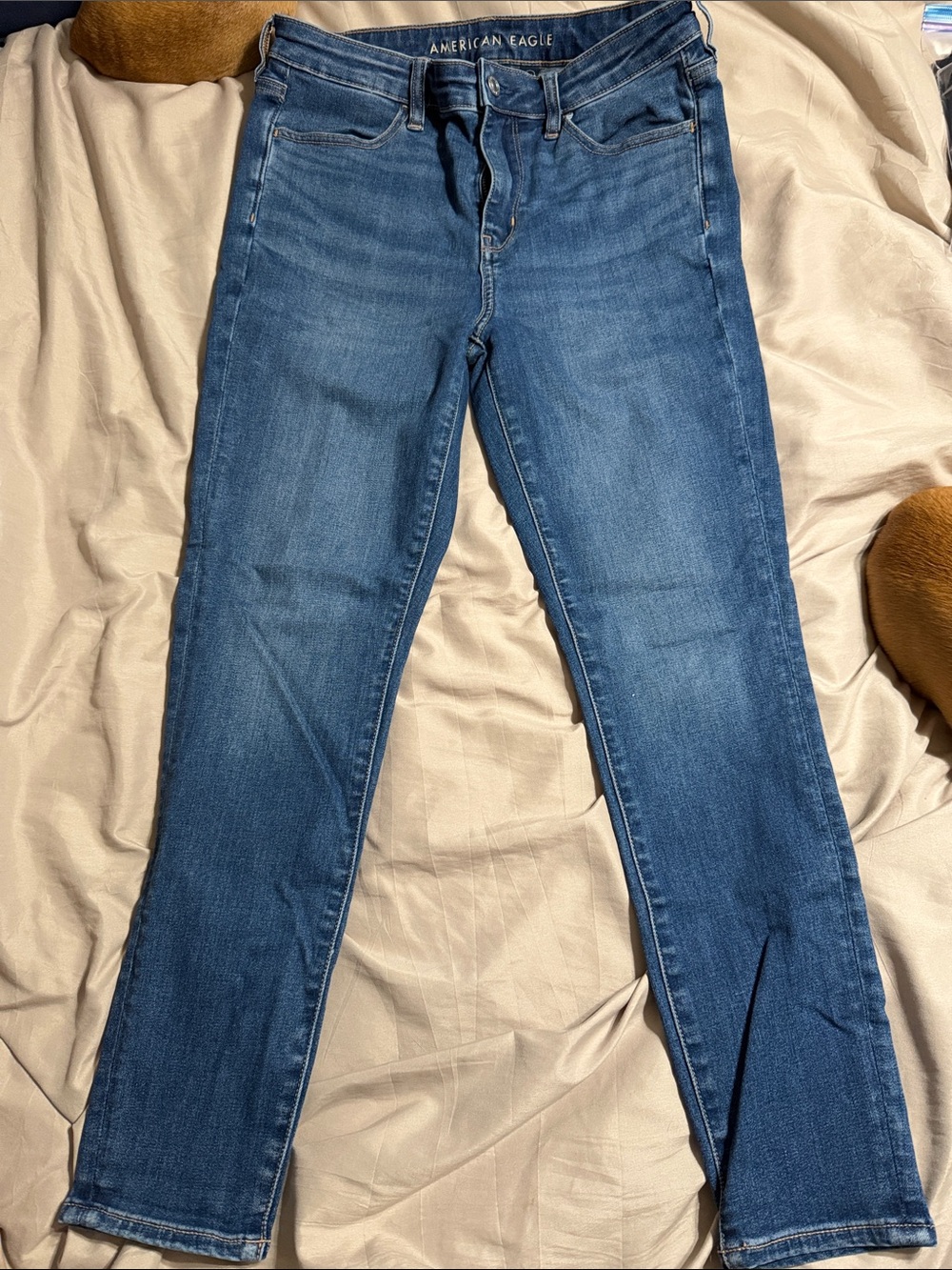 American Eagle Outfitters Blue High Rise Jegging Jeans 10S